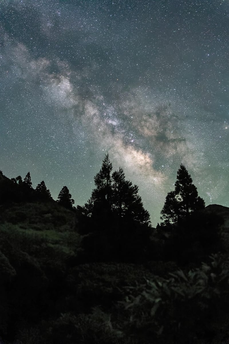 Adventure under the Milky Way